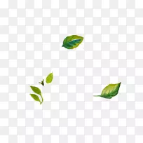 叶设计png图片图像adobe Photoshop.树叶-空若网 叶设计png图片图像adobe Photoshop.树叶-空若网