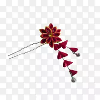 切花体珠宝开花植物-宇宙-空若网 切花体珠宝开花植物-宇宙-空若网