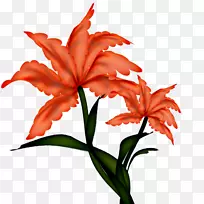 剪贴画png图片花卉图像绘图-装饰-空若网 剪贴画png图片花卉图像绘图-装饰-空若网