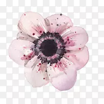 ˮ�ʻ�-������