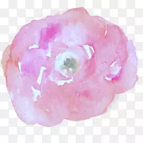 花卉摄影师水彩画婚礼水彩画-空若网 花卉摄影师水彩画婚礼水彩画-空若网