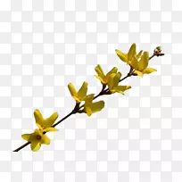 Naver博客叶png图片花瓣芽洁-空若网 Naver博客叶png图片花瓣芽洁-空若网