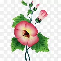 图插画艺术花卉设计.花卉-空若网 图插画艺术花卉设计.花卉-空若网