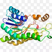 �������л�����������.ľ����ͼ-������