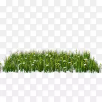 ¼ôÌù»pngͼƬͼƬ¿ª·Å²¿·ÖÏÂÔØ-aliya-¿ÕÈôÍø ¼ôÌù»pngͼƬͼƬ¿ª·Å²¿·ÖÏÂÔØ-aliya-¿ÕÈôÍø