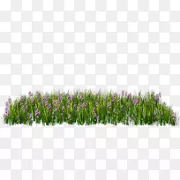 png图片剪辑艺术图像插图绘画-aliya-空若网 png图片剪辑艺术图像插图绘画-aliya-空若网