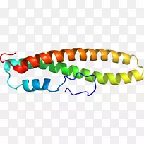 剪贴画线产品橙色S.A。-A1A-空若网 剪贴画线产品橙色S.A。-A1A-空若网
