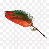 羽毛橙色S.A.-公爵-空若网 羽毛橙色S.A.-公爵-空若网