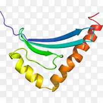 剪贴画有机体线身首饰-5k流道-空若网 剪贴画有机体线身首饰-5k流道-空若网