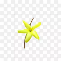 植物茎开花植物连翘-空若网 植物茎开花植物连翘-空若网