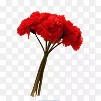 ����ܰ�л���ƻ���-������