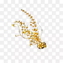 人体珠宝-人体-生命-空若网 人体珠宝-人体-生命-空若网