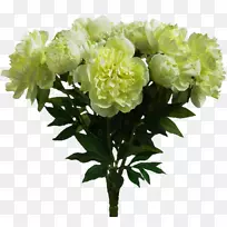 �л���������ƣ�������������Photoshop-����-������