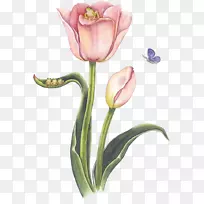 ������˲��Ͳ�ͼ����΢��-�ɰ�֮��-������