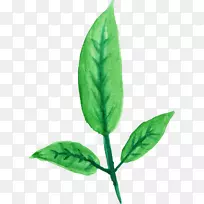 透明水彩画-空若网 透明水彩画-空若网