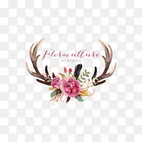 鹿茸花头盖骨艺术.水彩画叶子-空若网 鹿茸花头盖骨艺术.水彩画叶子-空若网