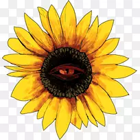 ÌùÖ½-¿ÕÈôÍø ÌùÖ½-¿ÕÈôÍø