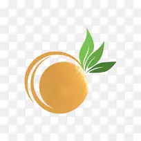 橙色S.A.-空若网 橙色S.A.-空若网