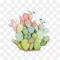 仙人掌插图水彩画多刺梨筒仙人掌画-空若网 仙人掌插图水彩画多刺梨筒仙人掌画-空若网