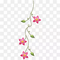 ��������л�ֲ�ﾥҶ������-������