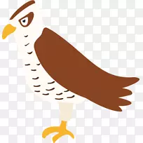 鸟喙夹艺术插图-空若网 鸟喙夹艺术插图-空若网