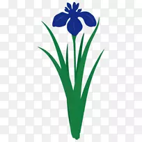 开花植物茎切花叶夹艺术-空若网 开花植物茎切花叶夹艺术-空若网