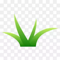 �廭��ͼ��-������