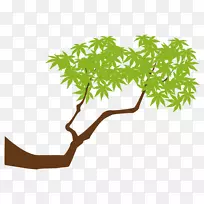 剪贴画叶植物茎花盆开花植物-空若网 剪贴画叶植物茎花盆开花植物-空若网