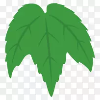 图示叶树开花植物-空若网 图示叶树开花植物-空若网