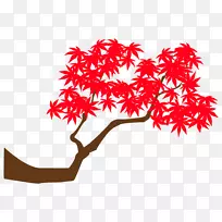 剪枝艺术线叶开花植物-空若网 剪枝艺术线叶开花植物-空若网