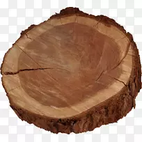 ������ľ���ɱ���-����-������