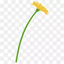 Ҷֲ�ﾥ����ֲ��-������