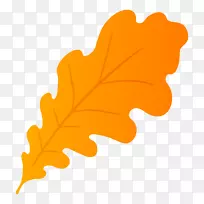 Ҷ����S.A.����ֲ��-������