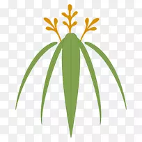 棕榈树,茎草,叶花-空若网 棕榈树,茎草,叶花-空若网