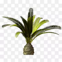 ��β�������ֽ������-������