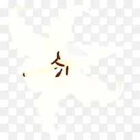 �����Ʒ�����ֽ�������-������