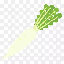 绿叶植物茎-空若网 绿叶植物茎-空若网