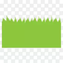 ��ƺ�ݽ�����Ҷ-������