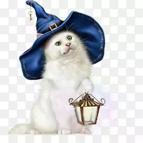 猫剪贴画动物插图中心博客-猫-空若网 猫剪贴画动物插图中心博客-猫-空若网