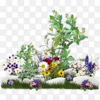 ����ڲʵ�ͼ��pngͼƬ-������