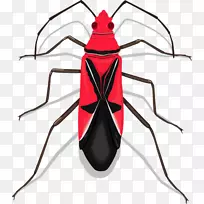 昆虫图形剪贴画图片昆虫-空若网 昆虫图形剪贴画图片昆虫-空若网