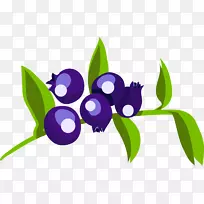 剪贴画叶开花植物.蓝色浆果-空若网 剪贴画叶开花植物.蓝色浆果-空若网