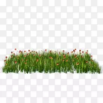 ¼ôÌù»pngͼƬͼÏñ·â×°PostScriptͼ.¼òµ¥»¨-¿ÕÈôÍø ¼ôÌù»pngͼƬͼÏñ·â×°PostScriptͼ.¼òµ¥»¨-¿ÕÈôÍø