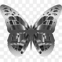 帝王蝴蝶昆虫卡纳,纽约剪贴画刷足蝴蝶-昆虫-空若网 帝王蝴蝶昆虫卡纳,纽约剪贴画刷足蝴蝶-昆虫-空若网