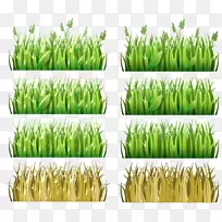 剪贴画香根草png图片图像帕斯托,哥伦比亚-草地-空若网 剪贴画香根草png图片图像帕斯托,哥伦比亚-草地-空若网