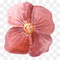 Ë®²Ê»pngͼƬͼÏñÏÂÔØ.¾«Áé±³¾°-¿ÕÈôÍø Ë®²Ê»pngͼƬͼÏñÏÂÔØ.¾«Áé±³¾°-¿ÕÈôÍø