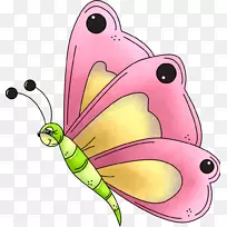 剪贴画明信片昆虫画蝴蝶-昆虫-空若网 剪贴画明信片昆虫画蝴蝶-昆虫-空若网