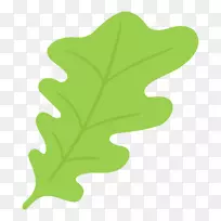 叶植物茎秆开花植物-空若网 叶植物茎秆开花植物-空若网