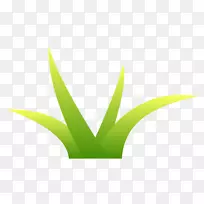 �ݲ�ͼ�Ӳ�ͼ��-������