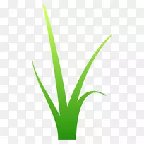 叶草植物茎线字体-空若网 叶草植物茎线字体-空若网